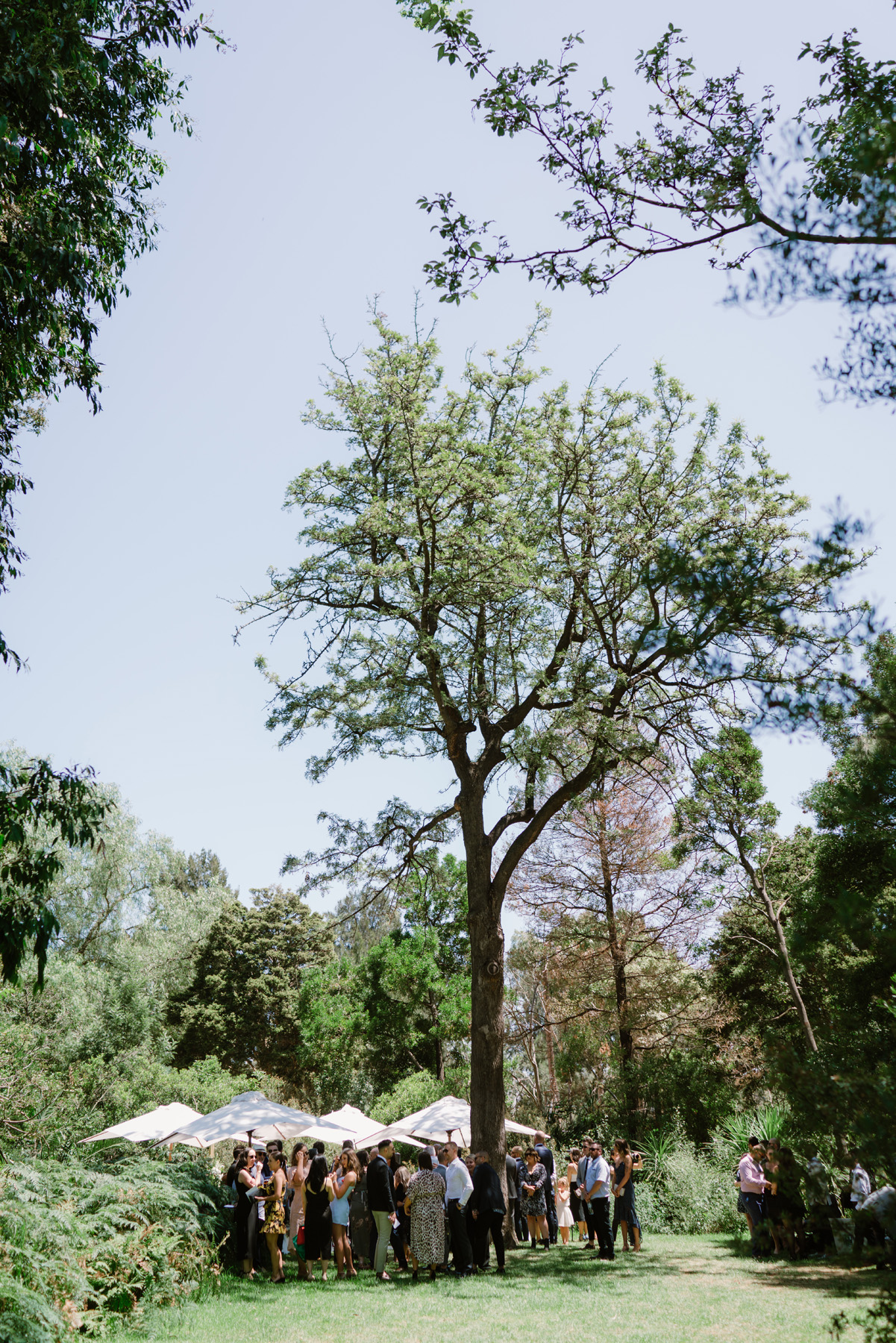 ERIKA + BEN | REAL BRIDE | DEMETRIOS 707 | MELBOURNE WEDDING GOWN | MELBOURNE BRIDAL