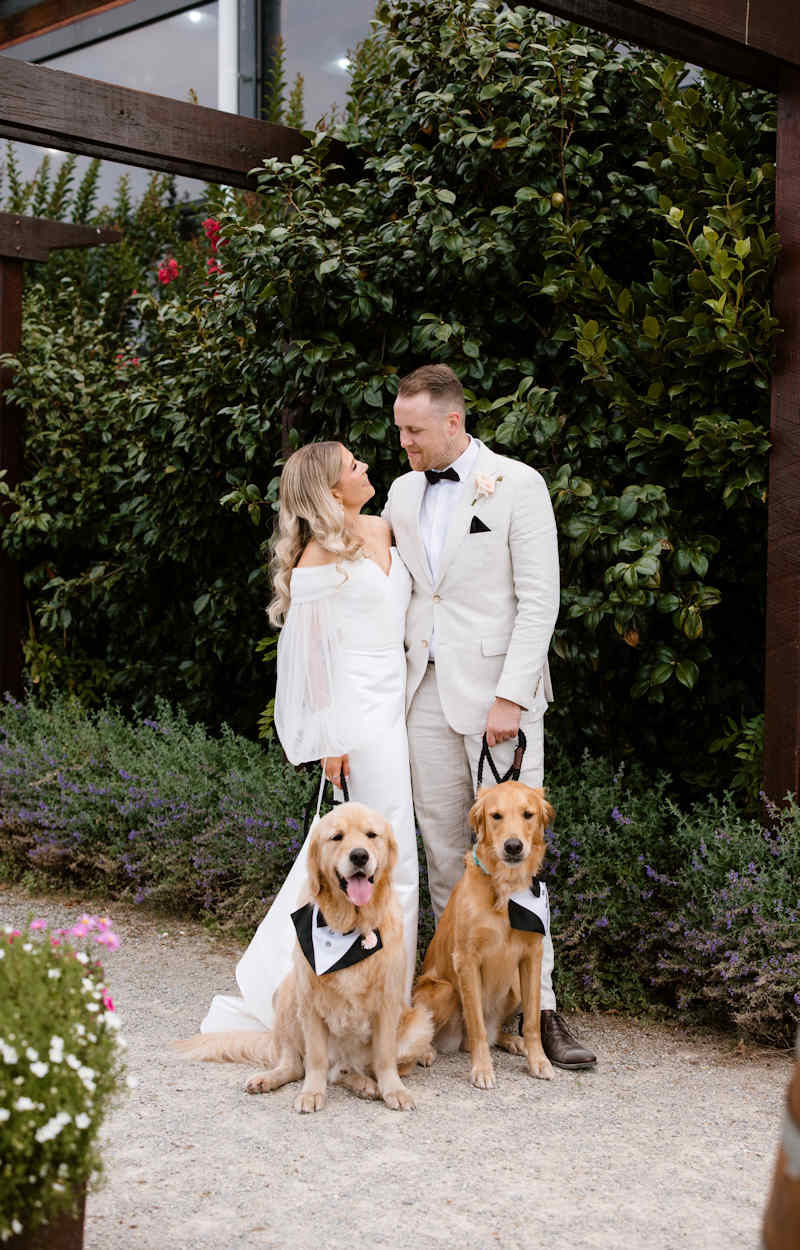 Sarah and Josh wedding 