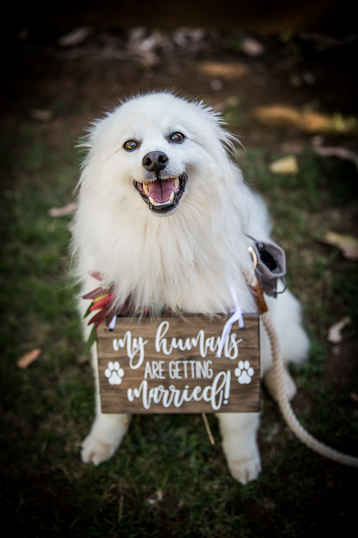 BRIDGET + DARCY | ECO BY PRONOVIAS | Real Wedding Melbourne Real Bride