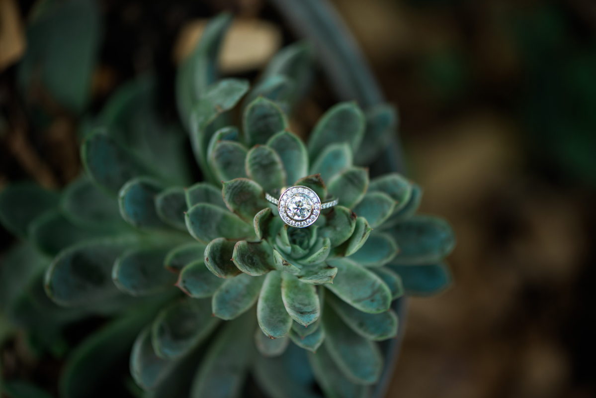 Laura + Daniel | RC Real Bride | Real Bride | Real Wedding | Melbourne Wedding | Raffaele Ciuca |