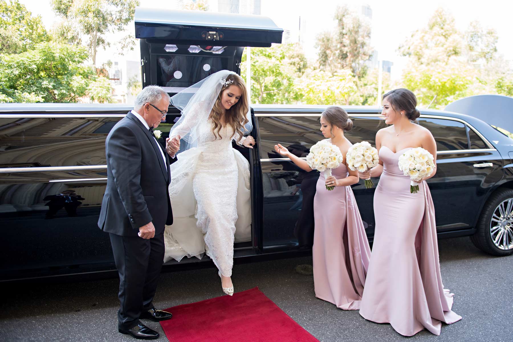 Melina + Vuong RC Real Bride Wearing Demetrios Platinum Wedding dress in 'Analisa' 