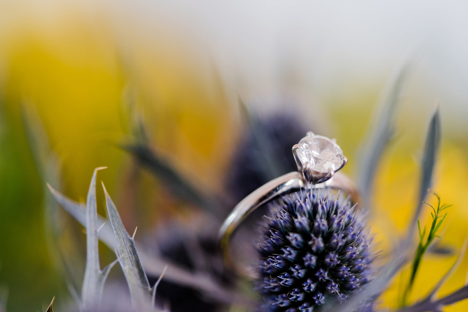 raffaele-ciuca_real-bride_tara_maggie-sottero_marrioette_2