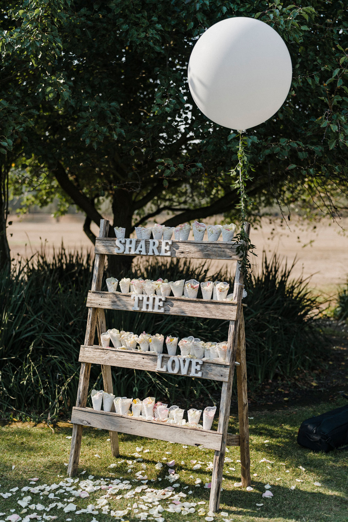 Michelle + David | RC Real Bride | Prunelle by Pronovias | Melbourne Real Bride | Real Wedding