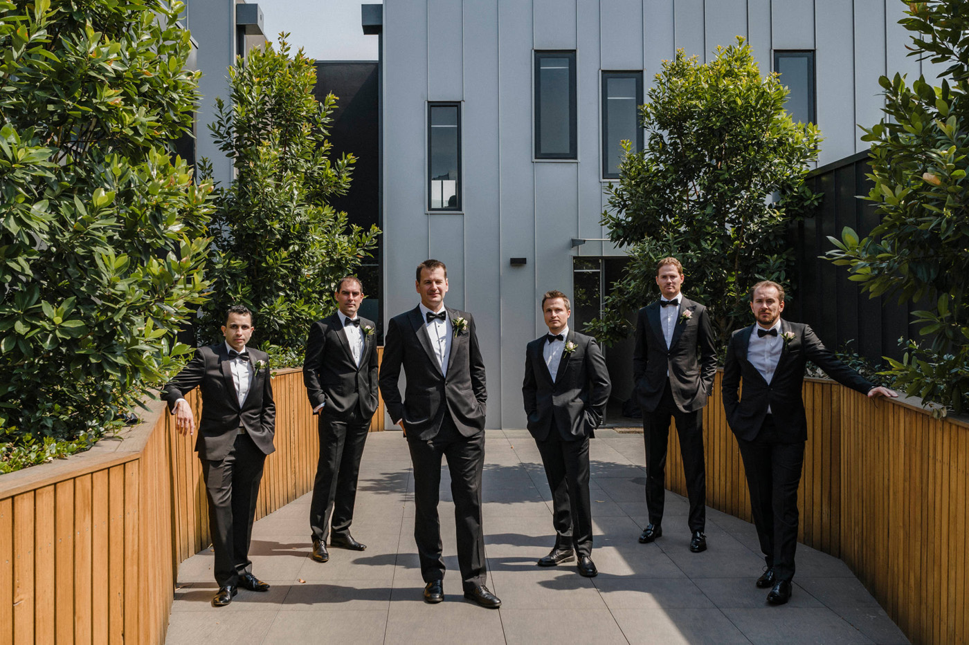 Michelle + David | RC Real Bride | Prunelle by Pronovias | Melbourne Real Bride | Real Wedding