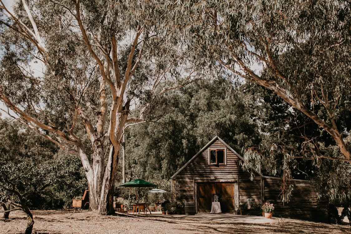 Raffaele Ciuca real bride wears Fredricka wedding dress by Maggie Sottero-41