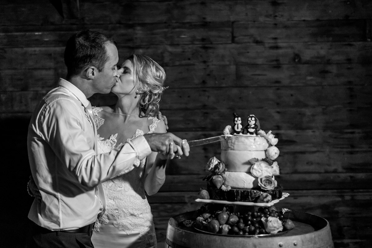 raffaele-ciuca_real-bride_rosy_pronovias-wedding-dress_port-douglas-wedding_8