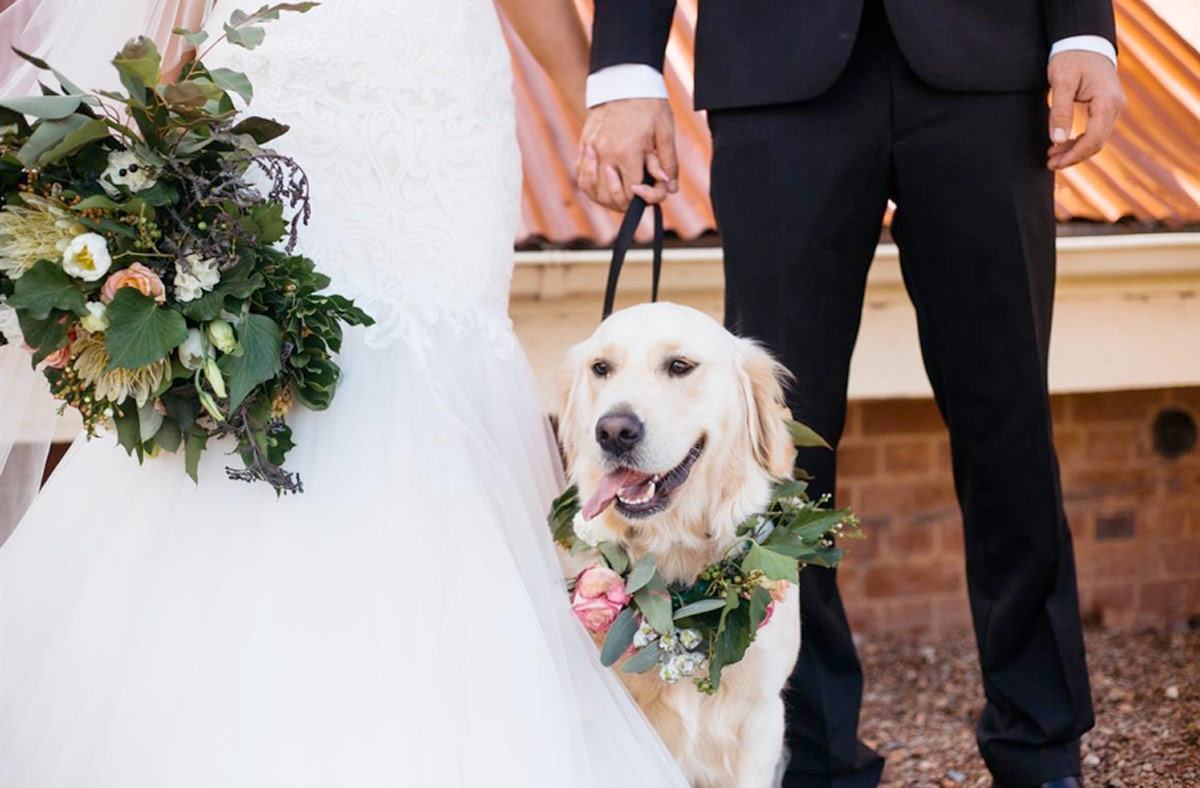 raffaele-ciuca_real-bride_tilly_sottero-and-midgley_cassandra_1