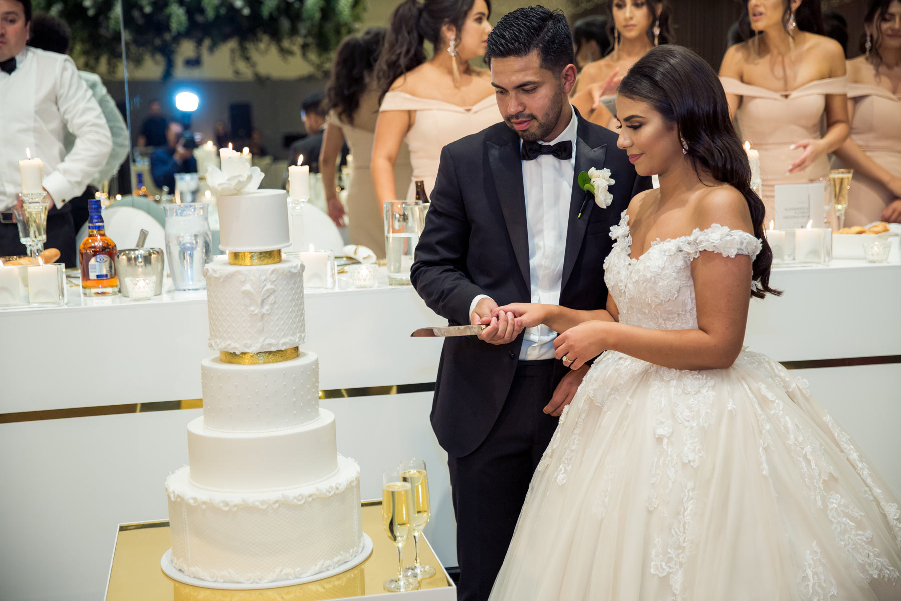 Yola + Alexander RC Real Bride Wearing Demetrios Platinum ballgown in 'ANASTASIA'